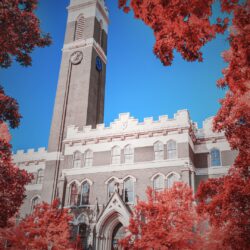 Vanderbilt University