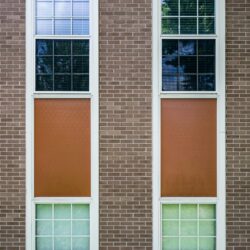 building windows with white wooden frames